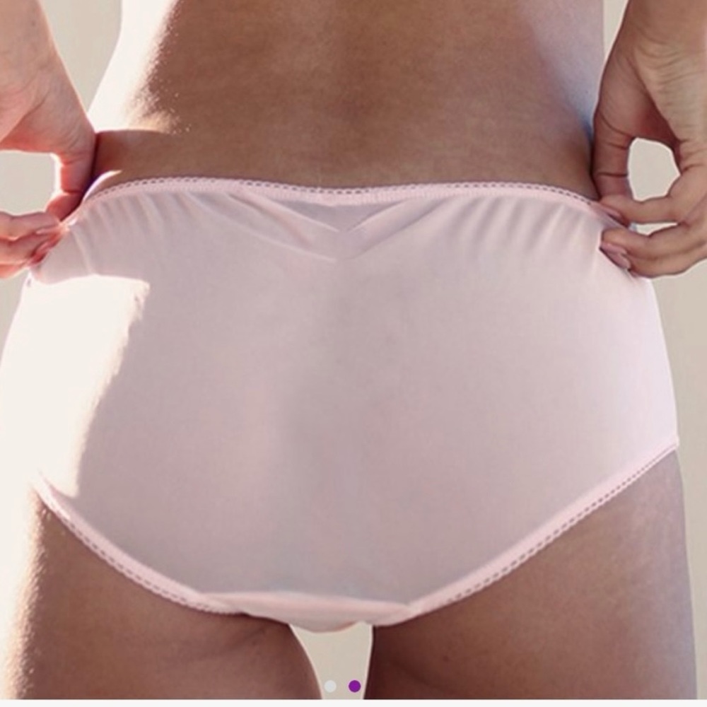 NWT Daydream Nation Gin N Tonic Mid-rise Brief, light pink, Small - Picture 2 of 3